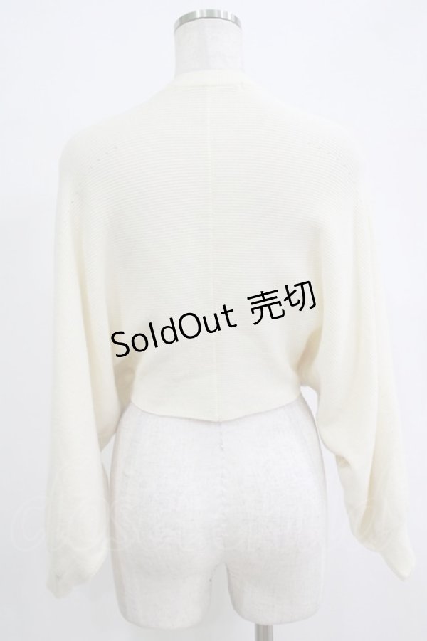 画像3: Maison de FLEUR Petite Robe canone / バックハグするボレロガーデ Free Ivory H-25-12-20-036-EL-TO-NS-ZH (3)