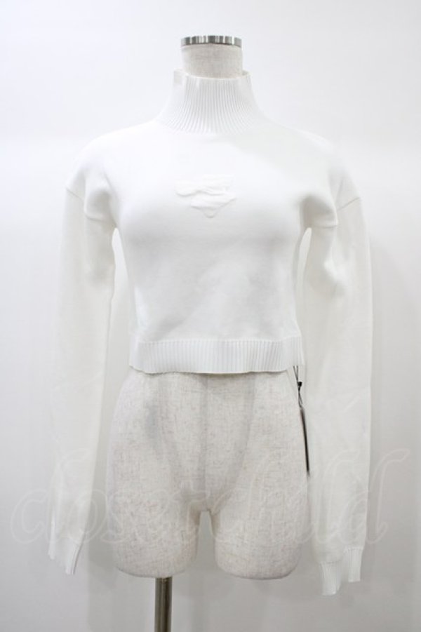 画像1: Melt the lady / ハイネックニット Free オフ H-25-12-25-054-PU-TO-NS-ZH (1)