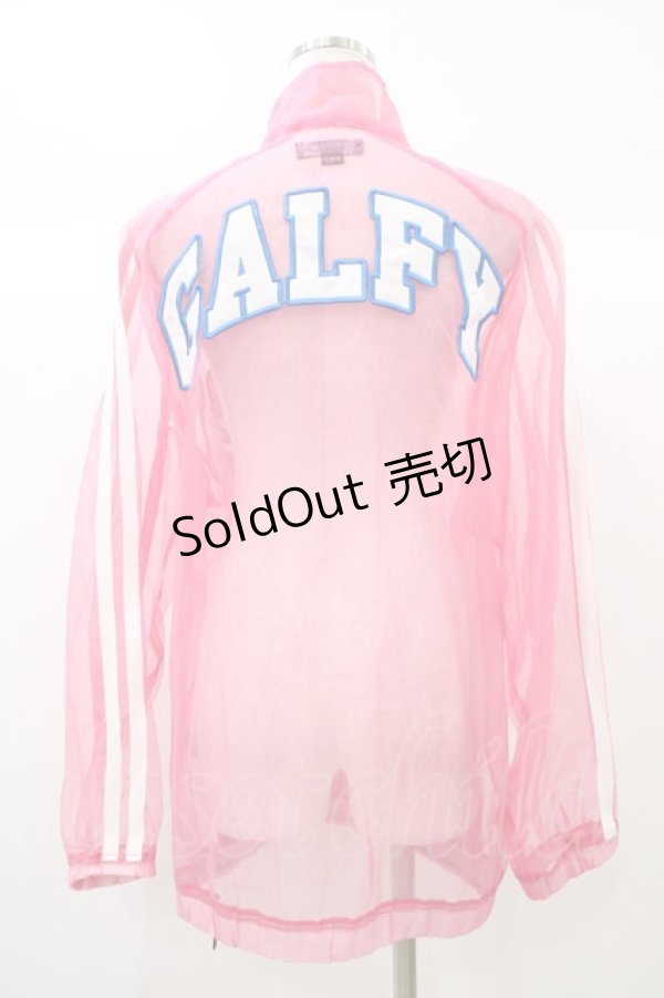 画像2: GALFY / スケスケセクハラSET UP 大型犬(XL) ピンク H-25-12-26-043-0-JA-KB-ZH (2)