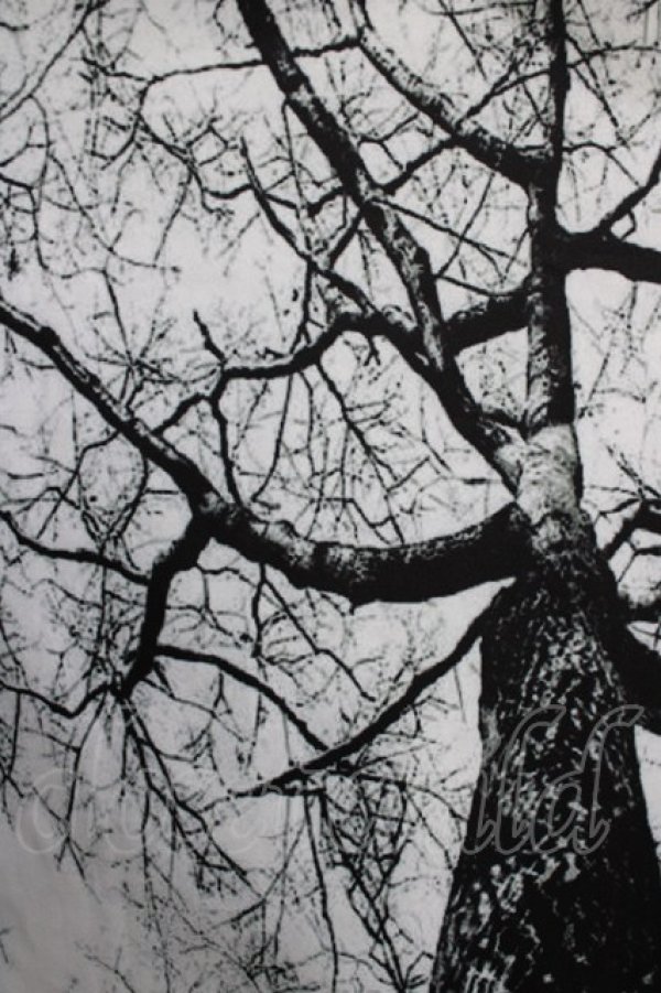 画像4: NieR Clothing / 総柄ZIPパーカー F 白 H-25-12-28-1049-PU-TO-KB-ZH (4)