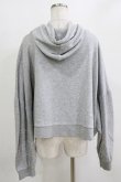 画像3: Candy Stripper / DRAMATIC HOODIE 2 グレー H-25-12-28-1057-PU-TO-KB-ZH (3)