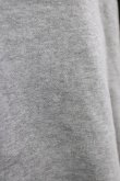 画像4: Candy Stripper / CANDYS CHUM BICOLOR HOODIE  グレー H-25-12-28-1058-PU-TO-KB-ZH (4)