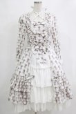 画像1: ATELIER PIERROT / Rosy Bouquet Dress size1 ライトグレー H-26-01-04-001-EL-OP-KB-ZH (1)