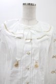 画像4: Angelic Pretty / Carnivalブラウス Free オフ H-26-01-05-1043-AP-BL-NS-ZH (4)