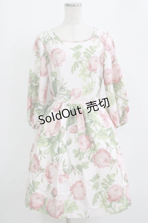 画像1: JESUS DIAMANTE / フェリエワンピ 40 メリーベルローズ柄ピンク H-26-01-10-1034-JE-OP-NS-ZH (1)