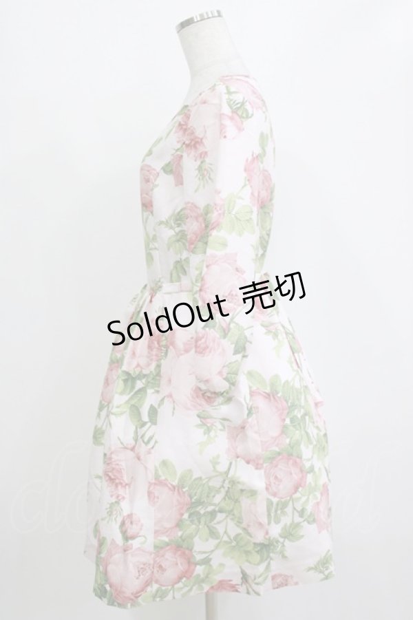 画像2: JESUS DIAMANTE / フェリエワンピ 40 メリーベルローズ柄ピンク H-26-01-10-1034-JE-OP-NS-ZH (2)