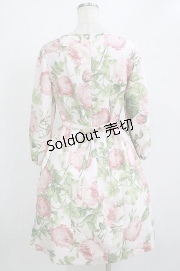 画像3: JESUS DIAMANTE / フェリエワンピ 40 メリーベルローズ柄ピンク H-26-01-10-1034-JE-OP-NS-ZH (3)