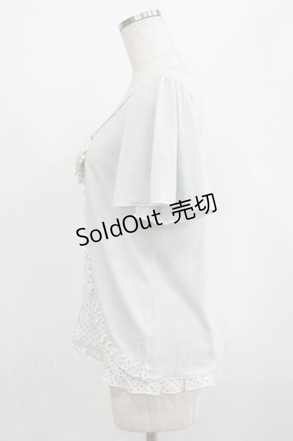 画像2: axes femme / ドットシフォン切替Tシャツ M ブルー H-26-01-10-1066-AX-TS-NS-ZH (2)