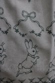 画像4: Innocent World / ピーターラビット  刺繍ワンピース M ライトグリーン×ダークグリーン H-26-01-10-1089-IW-OP-NS-ZH (4)