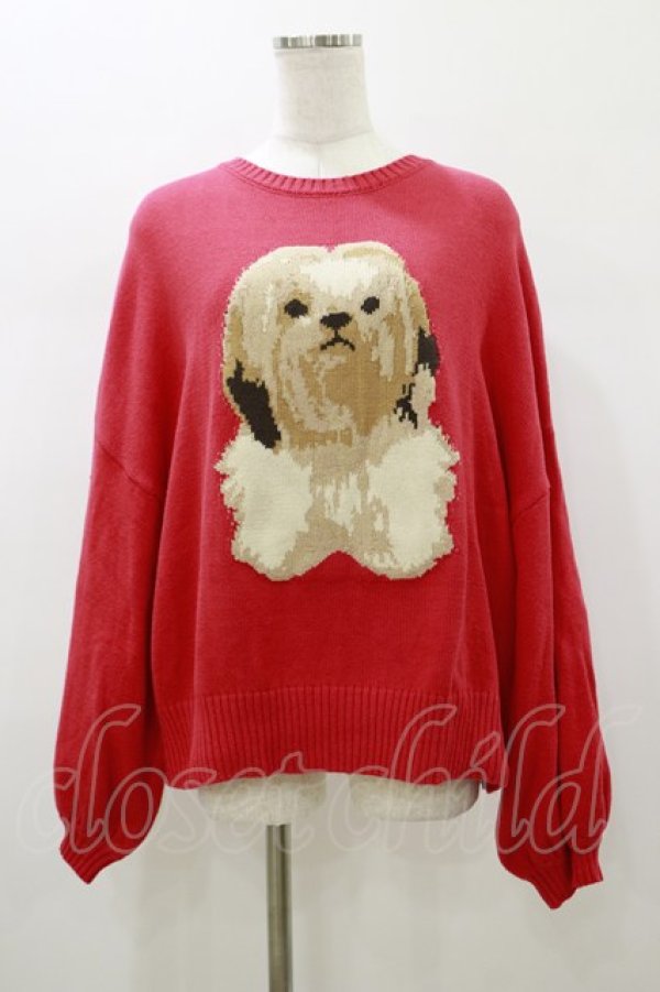 画像1: Candy Stripper / FUNNY PUPPY KNIT  レッド H-26-01-11-051-PU-TO-KB-ZH (1)