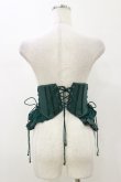 画像2: Ozz oneste / 薔薇刺繍ショートコルセット  グリーン H-26-01-11-017-OO-ZA-KB-ZH (2)
