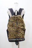 画像1: HYSTERIC GLAMOUR / レオパードバックパック  ブラウン H-26-01-13-1007-PU-BG-KB-ZH (1)