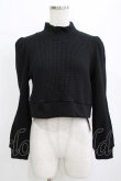 画像1: lilLilly / ハイネックショートトップス  ブラック H-26-01-14-075-LO-TO-KB-ZH (1)