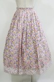 画像3: Jane Marple Dans Le Salon / Gouache gardenフラッフィースカート  ピンク×ピンク H-26-01-14-019-JM-SK-KB-ZH (3)