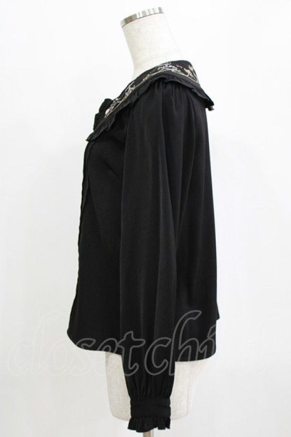 画像2: Amavel / シャンデリア刺繍入りブラウス Free ブラック H-26-01-15-080-CA-BL-NS-ZH (2)