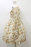 画像3: BABY,THE STARS SHINE BRIGHT / Rococo庭園ワンピース Free ジャスミン×オフ白 H-26-01-18-059-BA-OP-NS-ZH (3)