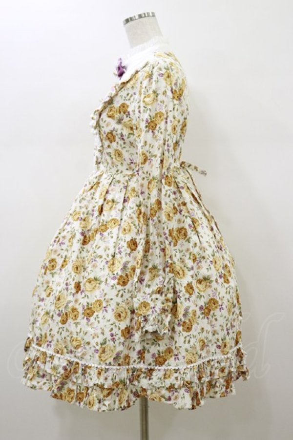 画像3: BABY,THE STARS SHINE BRIGHT / Rococo庭園ワンピース Free ジャスミン×オフ白 H-26-01-18-059-BA-OP-NS-ZH (3)