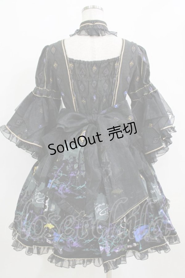 画像3: metamorphose / 魔女の森ラッパ袖ワンピース Free ブラック H-26-01-22-1001-ME-OP-NS-ZH (3)