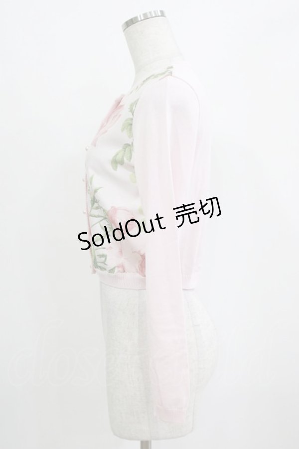 画像2: JESUS DIAMANTE / アントーニアカーデ 40 メリーベルローズ柄ピンク H-26-01-23-041-JE-TO-NS-ZH (2)