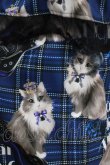 画像4: Royal Princess Alice / PUNK CATジャンパースカート（ロング丈） Free ブルー H-26-01-23-010-LO-OP-NS-ZH (4)
