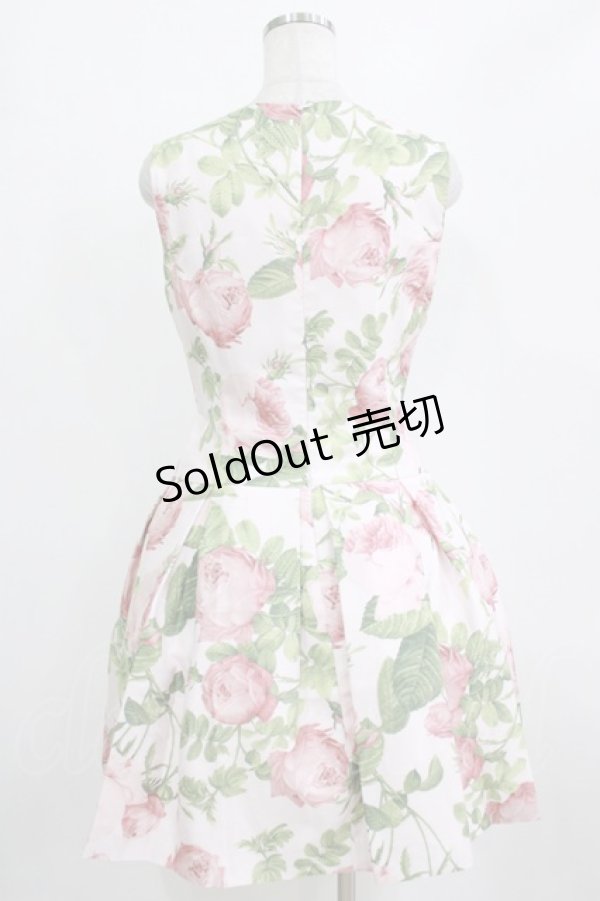画像3: JESUS DIAMANTE / ロマンスドールワンピース 42 メリーベルローズ柄ピンク H-26-01-23-019-JE-OP-NS-ZH (3)