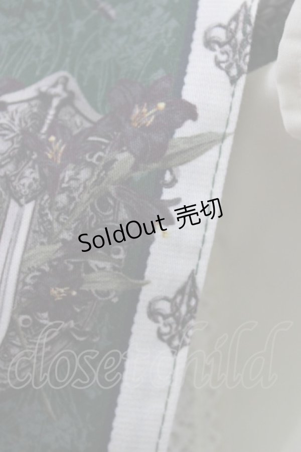 画像6: ALICE and the PIRATES / St.Lily Wolf〜狼騎士と百合の誓い〜柄ワンピース Free グリーン H-26-01-24-005-PA-OP-NS-ZH (6)