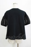 画像3: Jane Marple / Sheer Puffy Sleeve Pullover  black×black H-26-01-25-034-JM-TO-KB-ZH (3)