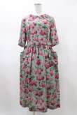 画像1: Jane Marple Dans Le Salon / Winter cherries day dress  ミント H-26-01-25-1025-JM-OP-KB-ZH (1)