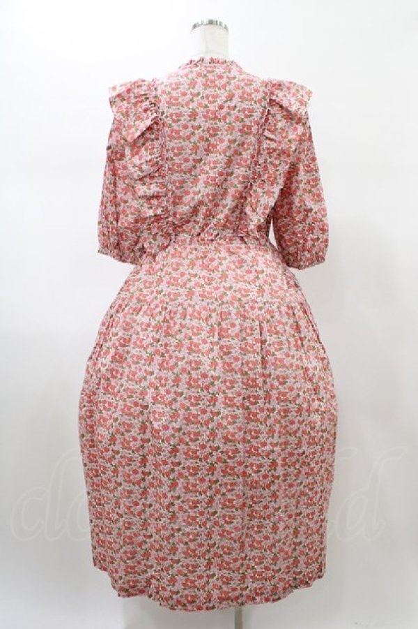 画像2: Jane Marple Dans Le Salon / CHARMIAN Agatha dress  rose H-26-01-25-1027-JM-OP-KB-ZH (2)