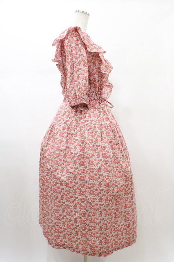 画像3: Jane Marple Dans Le Salon / CHARMIAN Agatha dress  rose H-26-01-25-1027-JM-OP-KB-ZH (3)