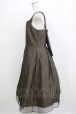 画像2: Jane Marple / Violin embroideryストラップドレス  ブロンズ H-26-01-25-001-JM-OP-KB-ZH (2)