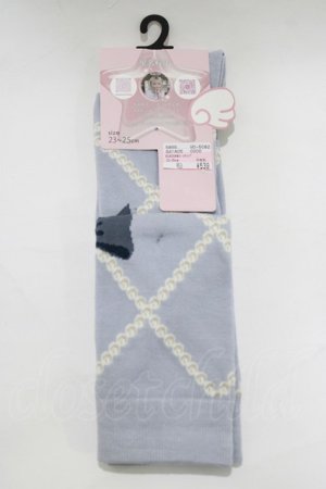 画像: virally / 星名桜子/ECHSOVKレースアップ  サックス H-26-01-26-1055-PU-ZA-NS-ZH