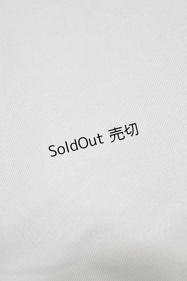 画像2: Ank Rouge / 2024 AnkRouge HAPPY BAGのトート  サックス H-26-01-30-065-CA-BG-NS-ZH (2)