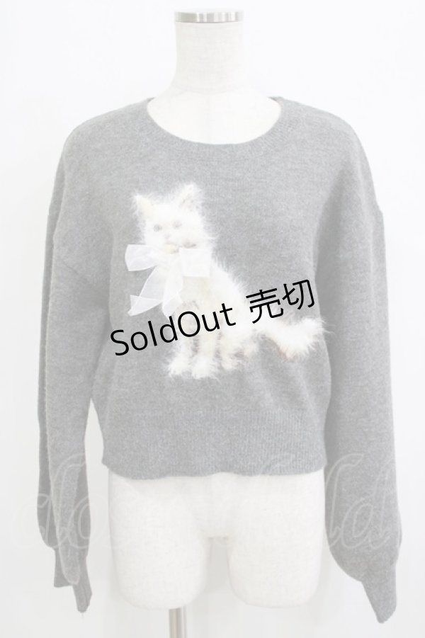 画像1: axes femme / ライン刺繍ニットプルオーバー Free グレー H-26-02-02-054-AX-TO-NS-ZH (1)