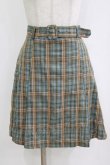 画像1: Fi.n.t / ベルト付きレトロチェックミニスカート Free BLUE×GR H-26-02-04-036-CA-SK-NS-ZH (1)