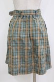 画像3: Fi.n.t / ベルト付きレトロチェックミニスカート Free BLUE×GR H-26-02-04-036-CA-SK-NS-ZH (3)