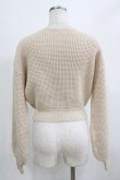 画像3: Darich / ロゴワッフルニットトップス Free ベージュ H-26-02-05-1060-LO-TO-NS-ZH (3)