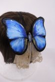 画像2: Royal Princess Alice / Morpho Butterfly粟木こぼねコラボ カチューシャ  ブルー H-26-02-09-1024-LO-AC-NS-ZH (2)