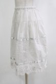 画像2: Emily Temple cute / ローズレースペチコート  グレー H-26-02-10-045-ET-SK-KB-ZH (2)