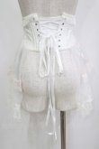 画像3: MR corset / 刺繍ショートコルセット  ホワイト H-26-02-10-049-PU-ZA-KB-ZH (3)
