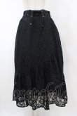画像1: axes femme / 総レーススカート M ブラック H-26-02-11-1041-AX-SK-NS-ZH (1)