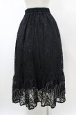 画像2: axes femme / 総レーススカート M ブラック H-26-02-11-1041-AX-SK-NS-ZH (2)