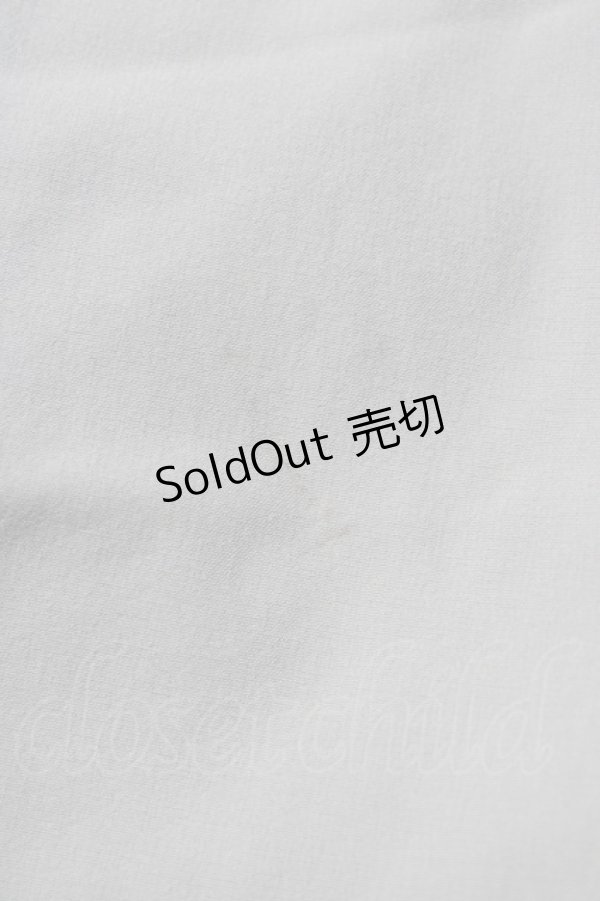 画像4: an another angelus / 銀食器カットワーク衿ブラウス Free GRAY H-26-02-11-1055-CA-BL-NS-ZH (4)