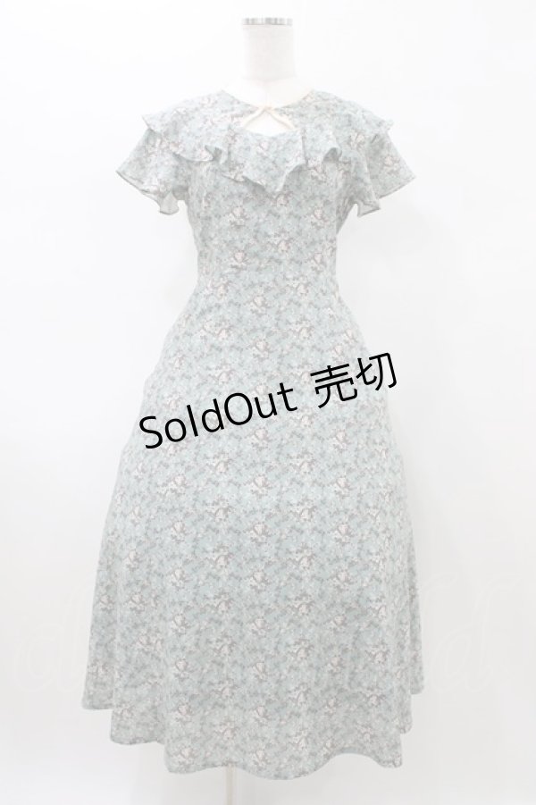 画像1: an another angelus / フロント開き小花柄ラッフルワンピース Free GREEN H-26-02-12-1049-CA-OP-NS-ZH (1)