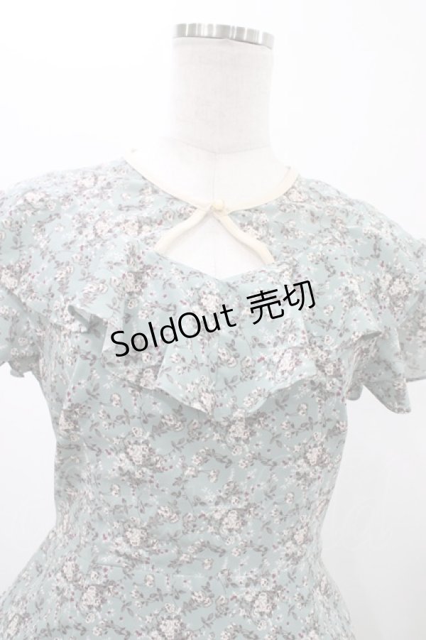 画像3: an another angelus / フロント開き小花柄ラッフルワンピース Free GREEN H-26-02-12-1049-CA-OP-NS-ZH (3)