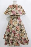画像1: Victorian maiden / 薔薇ゴブランタペストリーケープ付きスリーブレスドレス Free ベージュ H-26-02-12-006-CL-OP-NS-ZH (1)