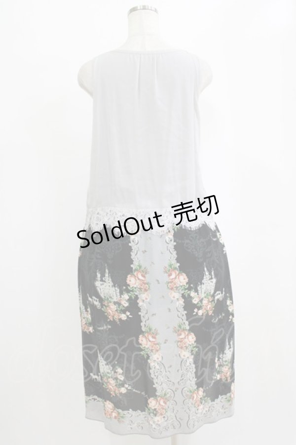 画像3: axes femme / レースドッキングワンピース M ブラック/グレー H-26-02-14-028-AX-OP-NS-ZH (3)