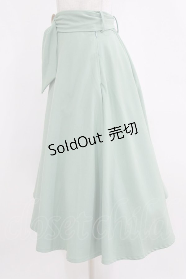 画像2: an another angelus / べっ甲バックルベルトフレアースカート Free MINT H-26-02-14-015-CA-SK-NS-ZH (2)