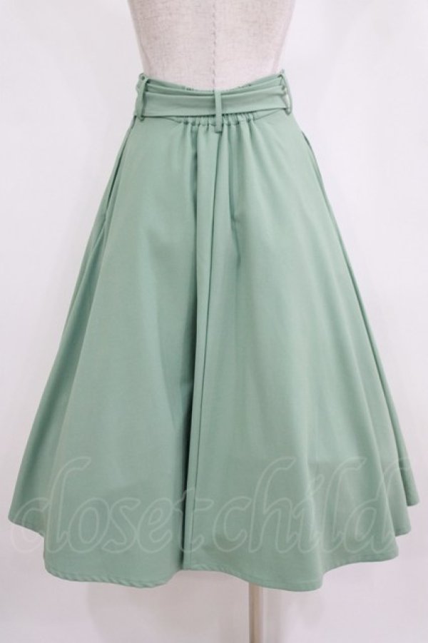 画像3: an another angelus / べっ甲バックルベルトフレアースカート Free MINT H-26-02-14-015-CA-SK-NS-ZH (3)