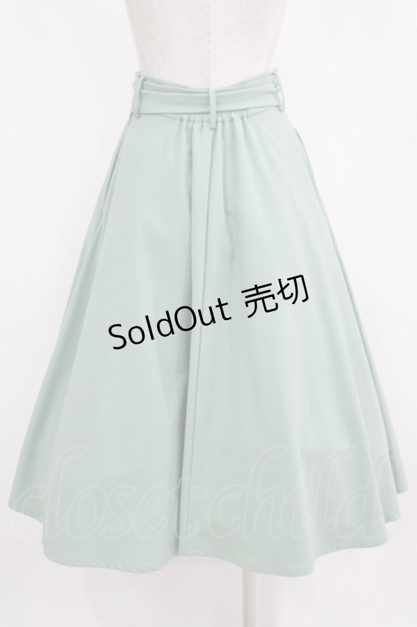 画像3: an another angelus / べっ甲バックルベルトフレアースカート Free MINT H-26-02-14-015-CA-SK-NS-ZH (3)